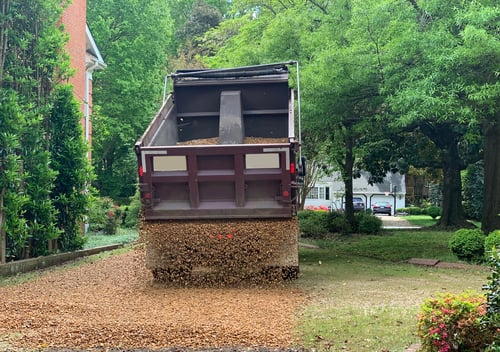Read the Tree Quote: Where the Cleanup Hides